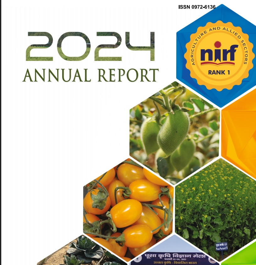 Annual Report 24