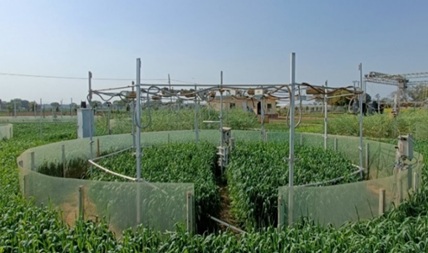 labs10