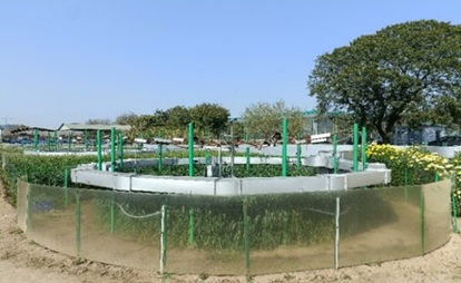 labs12