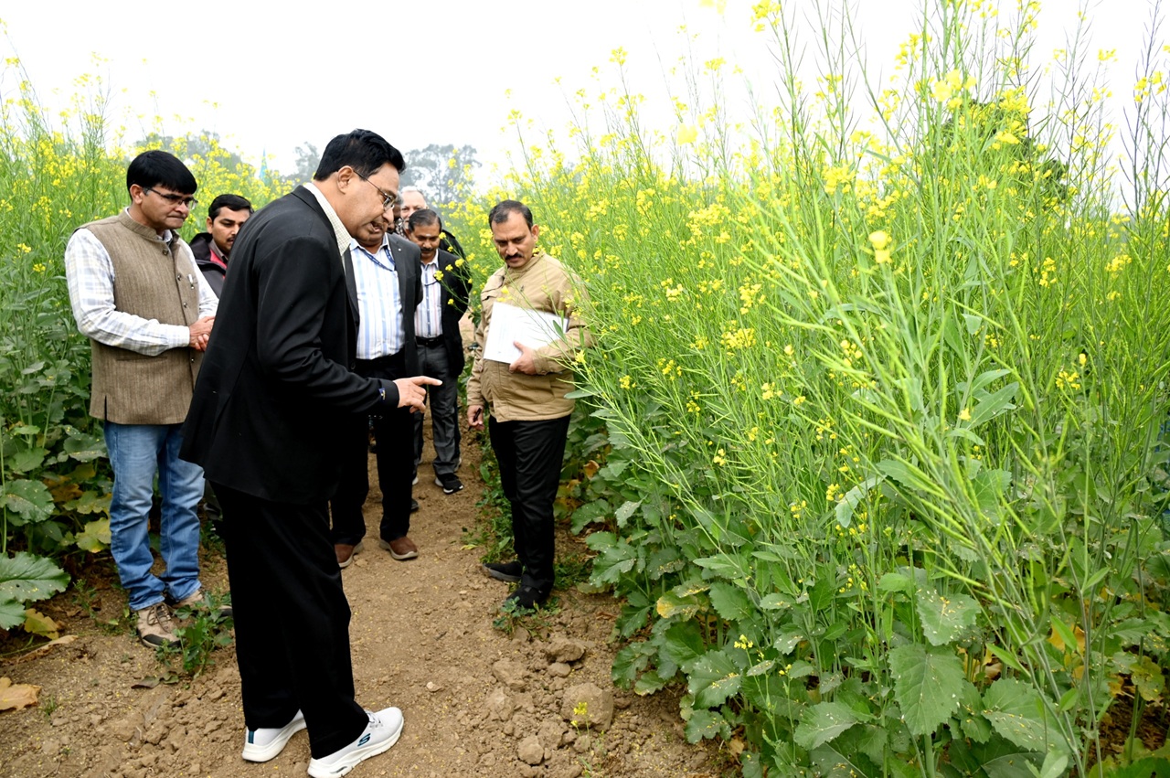 Organic and Natural Farming Experiments IARI Agronomy Division