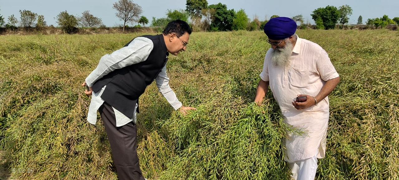 IARI Participatory Seed production villages, Haryana