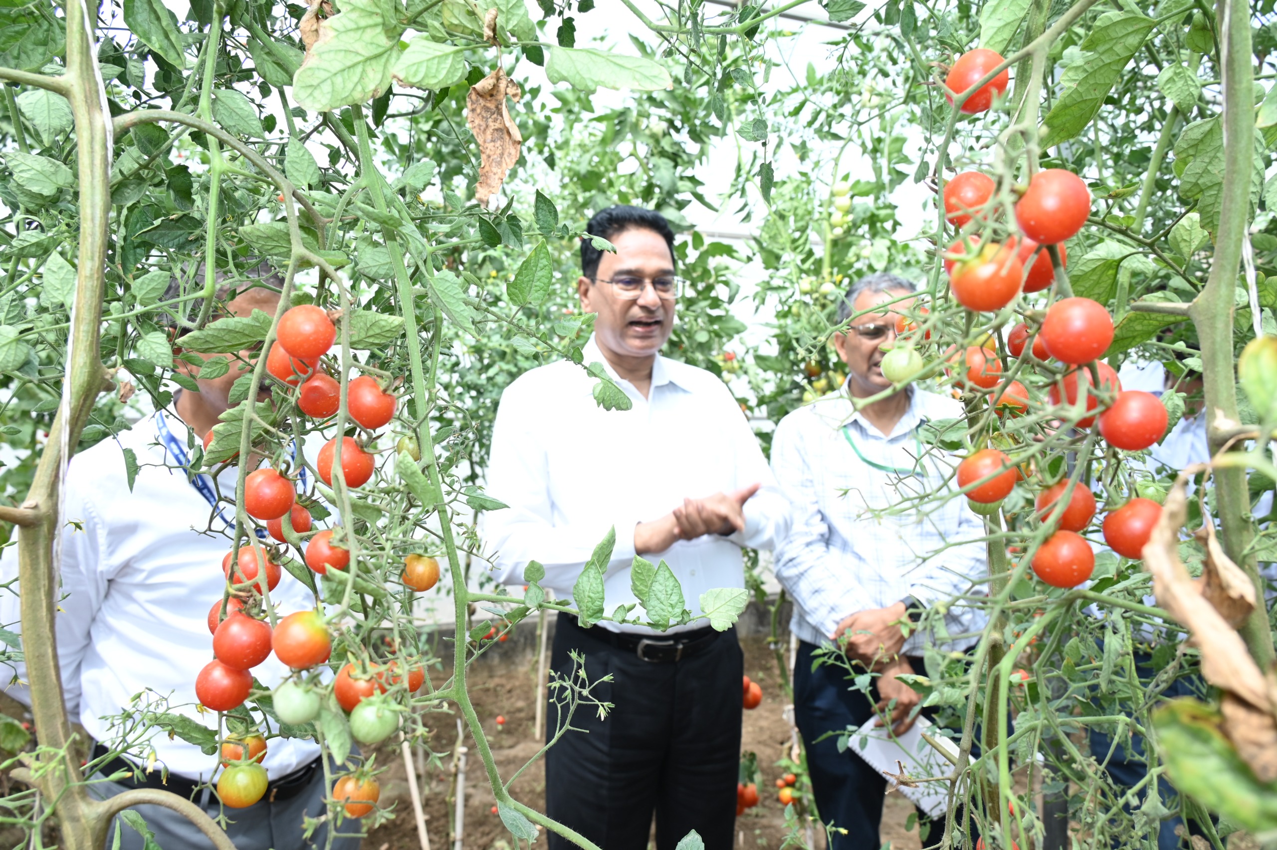Summer Horticulture Day at ICAR-IARI on 5th May 2026